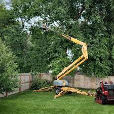 Mira Monte, CA Tree Removal and Landscaping Services Company